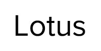Ремонт стиральных машин Lotus в Голицыно
